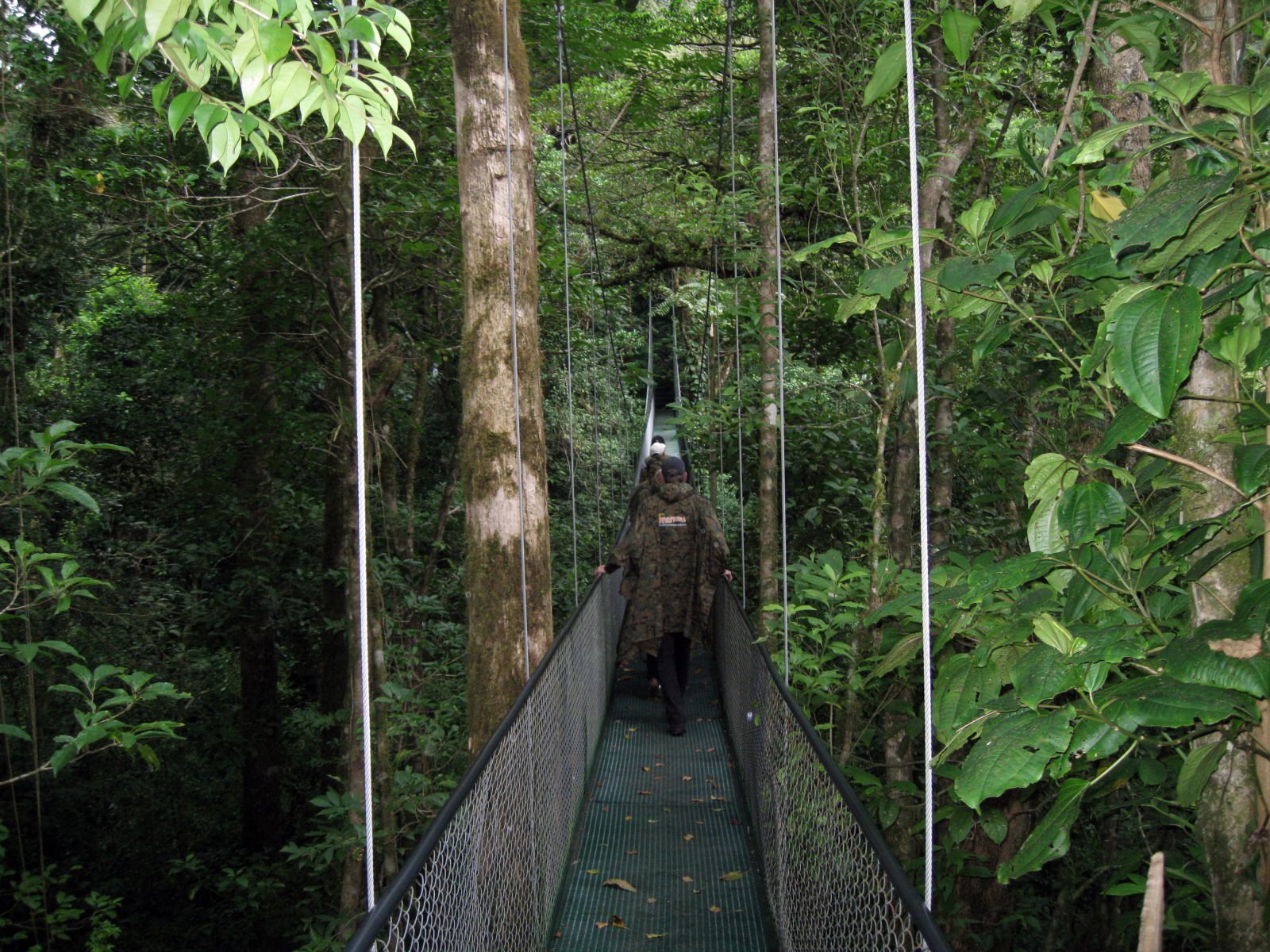 Costa Rica, 2009